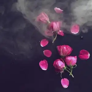 寓意深刻人生哲理头像