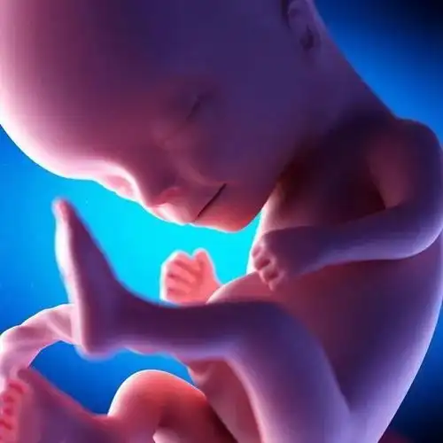 怀孕后胎儿十个月的发育过程,感叹:生命真的太神奇了,值得收藏