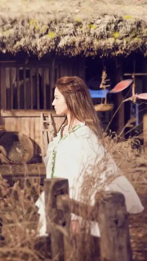 三生三世十里桃花 白浅/司音/素素 刘亦菲