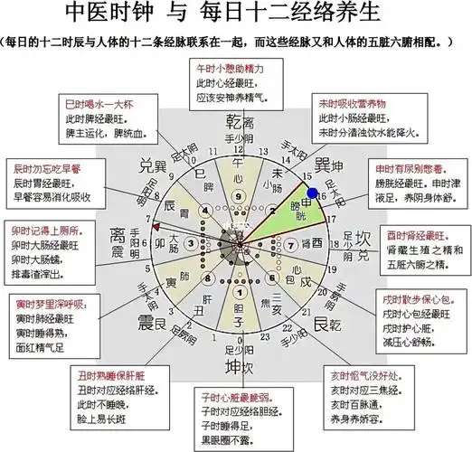 中医的十二时辰养生