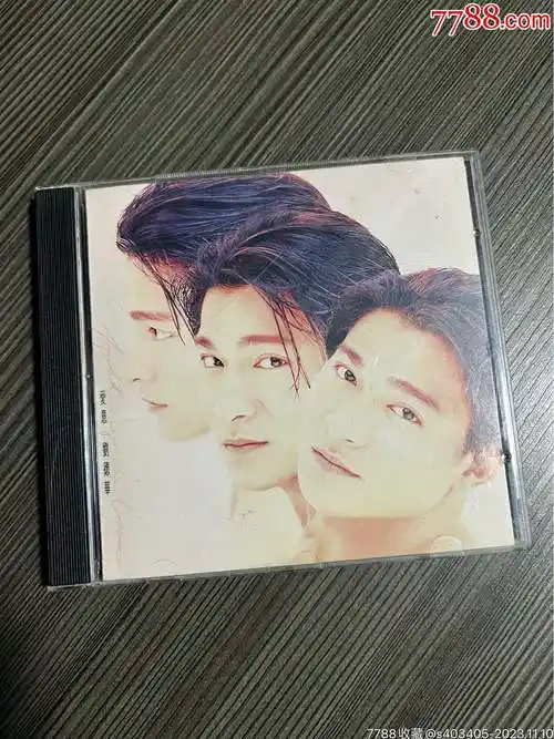 刘德华爱意新马版本