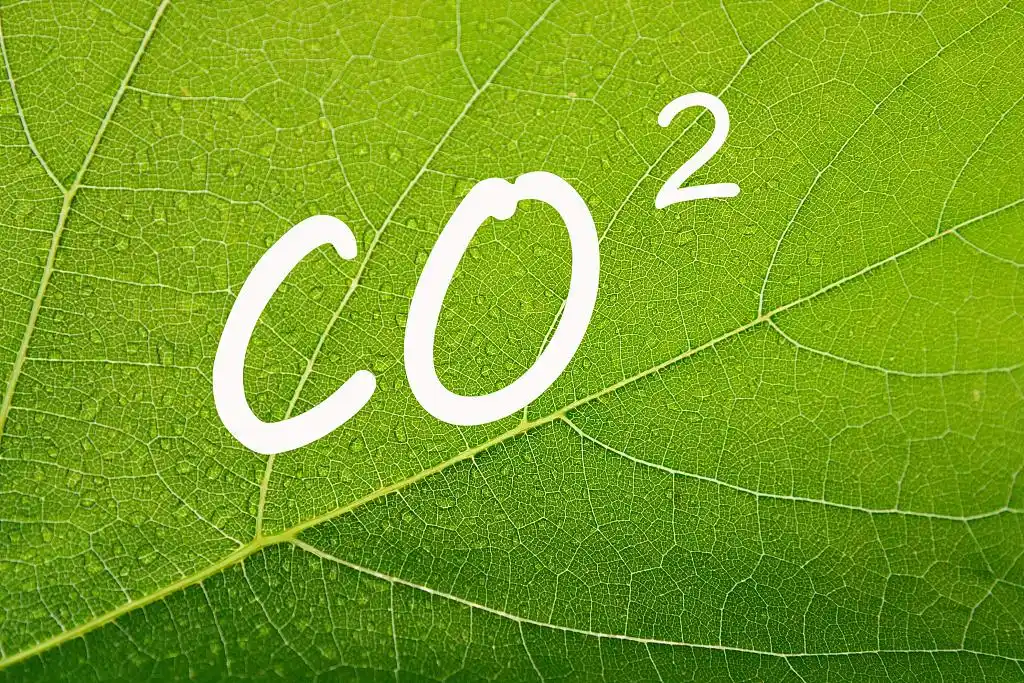 王元丰实现碳中和生活方式也要变