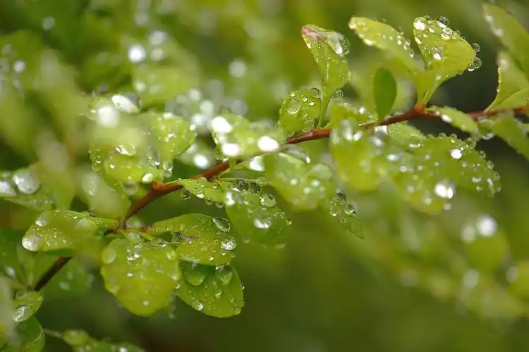 1/2下一页尾页时间:2021-02-21浏览:(430)标签:格式:jpg热门壁纸标签