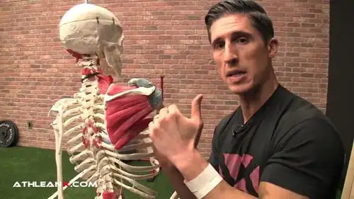 姐夫教你解锁圣诞树-jeff的下背部每日加强训练计划