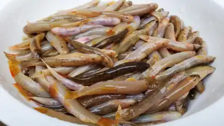 钢鳅鱼你吃过吗?农村小伙抓了2斤,鲜美香甜,比泥鳅好吃多了