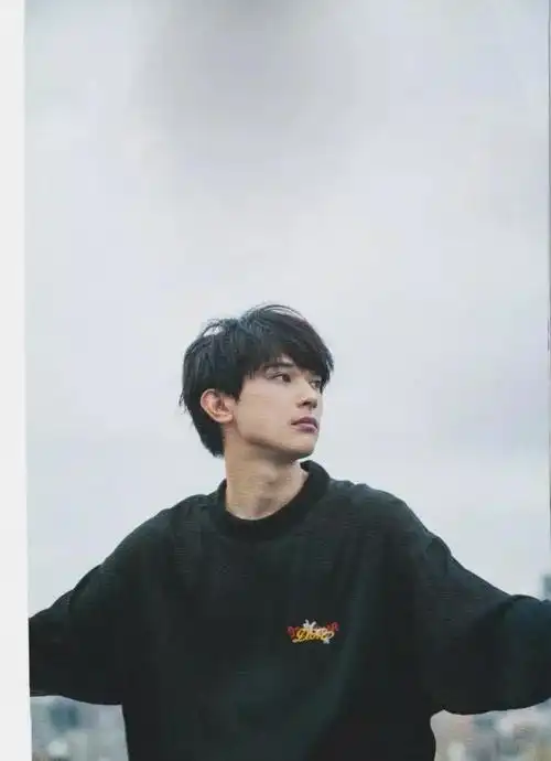 日本帅哥(日本男星排行2021)