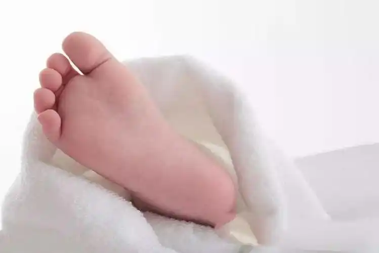 【古岛幼儿园】居家亲子活动"综合活动《我的小脚》"——小班