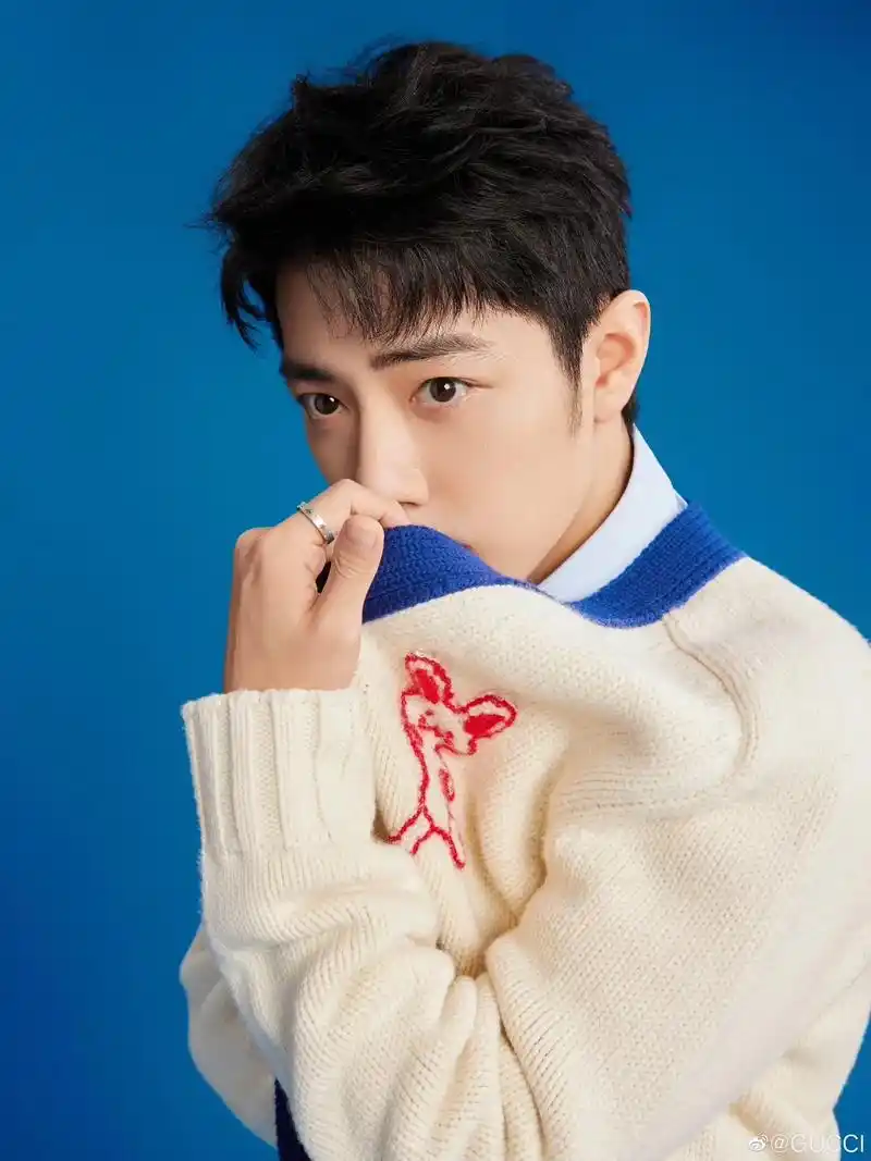 帅气的小白兔肖战