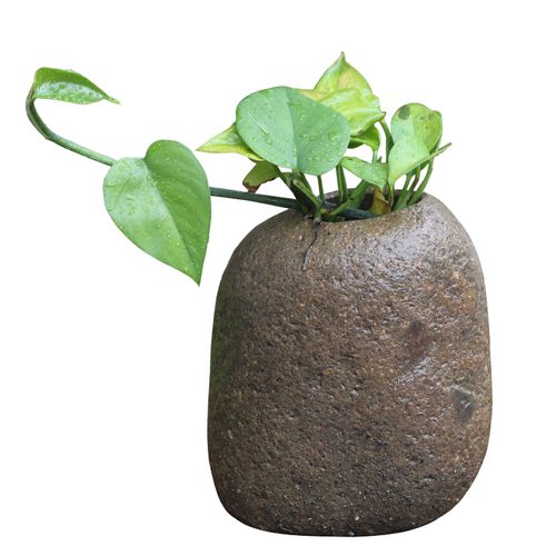 鹅卵石花盆天然石头花瓶插花花花桌面笔筒创意个性花盆