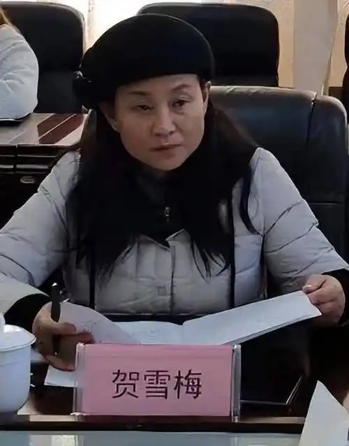 贺雪梅(资料图)2008年12月,贺雪梅调任凉山州统计局党组书记,次年1月