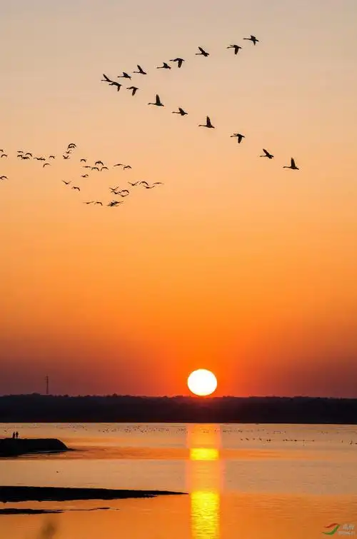 最美不过夕阳红