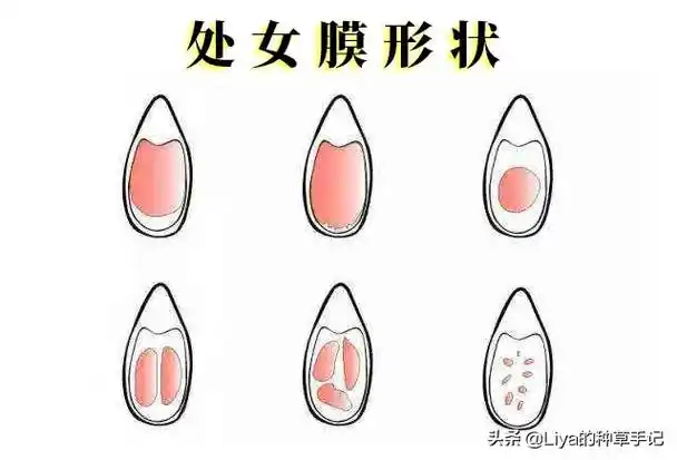 处女座男女生对比照图 处女座男女生对比照图片大全
