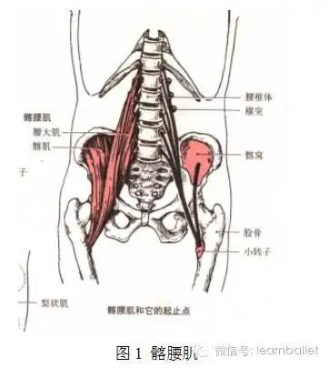 第二阶段:压完大,小胯以后,大腿根部隐隐作痛.