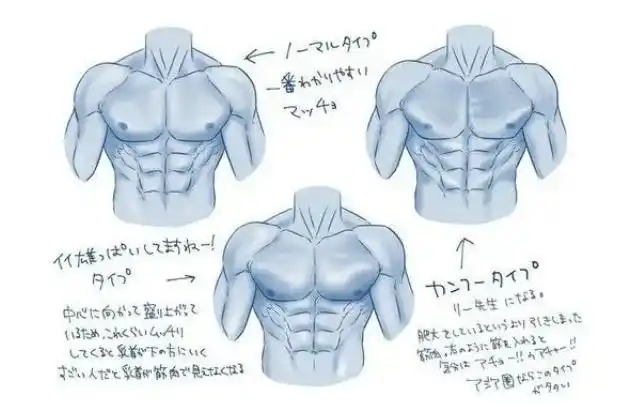 5个效果超好的胸肌中部训练动作