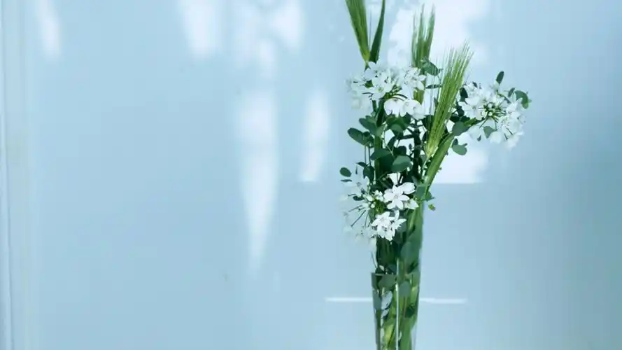 小清新家居静物简约风格桌面壁纸下载 第五辑高清大图预览1920x1080_