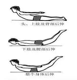 小飞燕这个动作则可以纠正这一点,加强深层肌肉,放松表层肌肉,锻炼