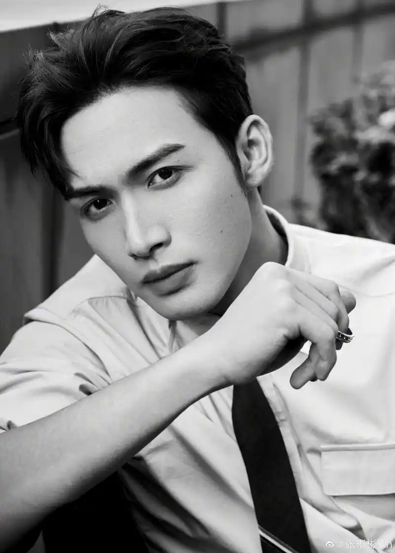 你们喜欢张彬彬吗?