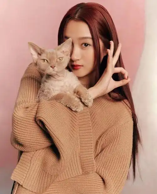 关晓彤穿白袜秀大长腿,怀里还抱了只猫卖萌,新片出演图兰朵公主_泛