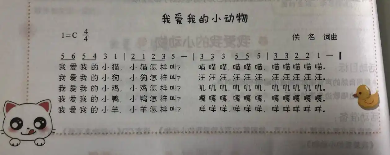 我爱我的小动物