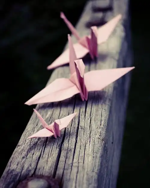 三行情书(15)|写在你离开的第三年