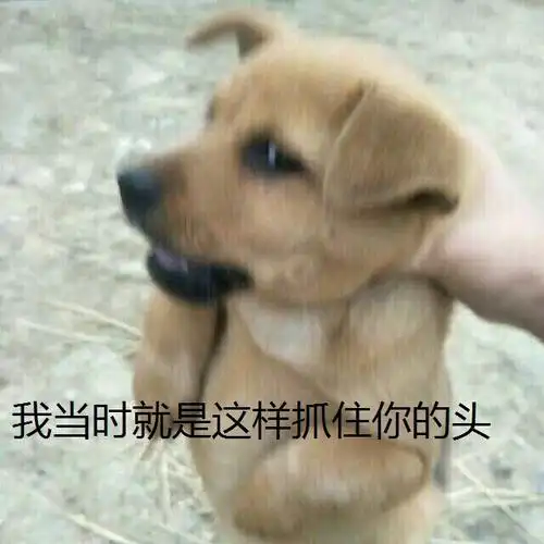 我当时就是这样抓住你的头表情包 - 日常表情包