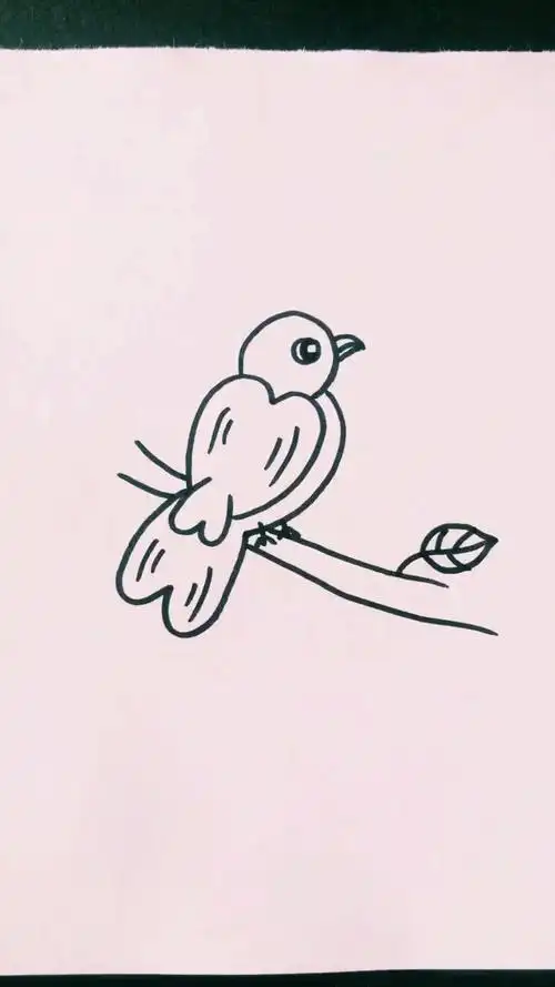 #简笔画#简单小鸟