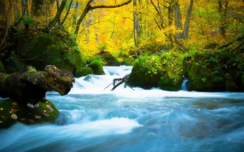 绝世美景精美图片_这样的最美景色