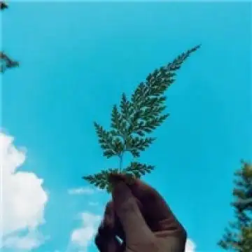 清新风格简单背景头像,就是喜欢美好风格,风景头像图片-回车桌面