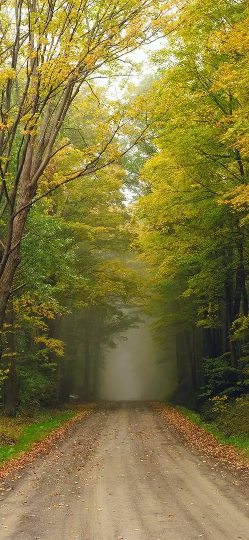 壁纸|高清手机壁纸