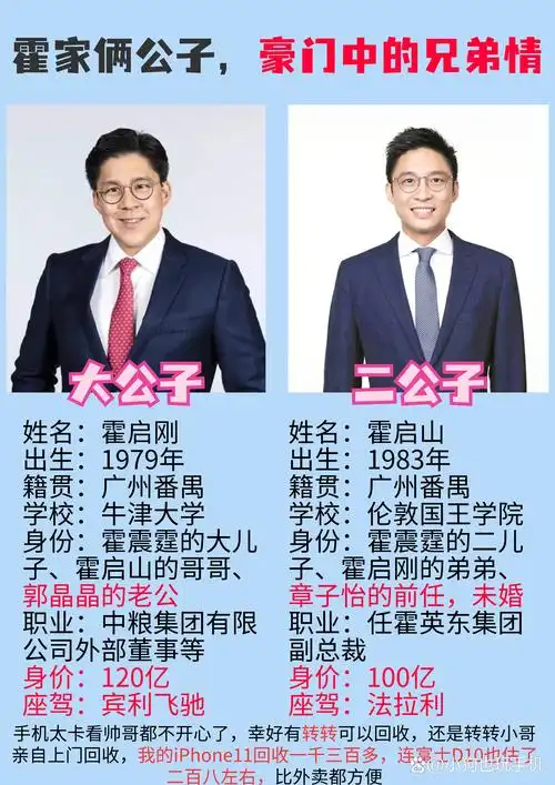 霍启刚 vs 霍启山 ,霍家富豪家族的两位公子哥 #霍启刚# #霍启山