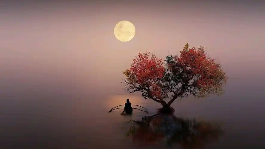 孟浩然望月抒怀写下一诗,意境凄美,宛如一幅别样的孤清月夜图_月亮