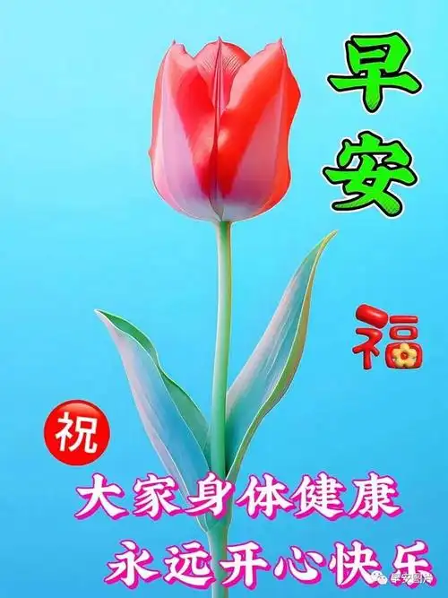 温馨早安问候祝福语图片|快乐|清晨|幸福|早上好|感恩的心_网易订阅