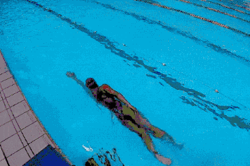 动图示范自由泳直臂划水教学