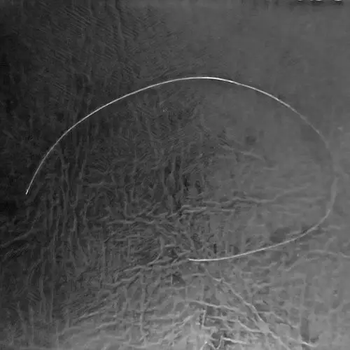 今天爸爸给我扯下来一根白头发