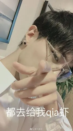 如何评价cv景向谁依