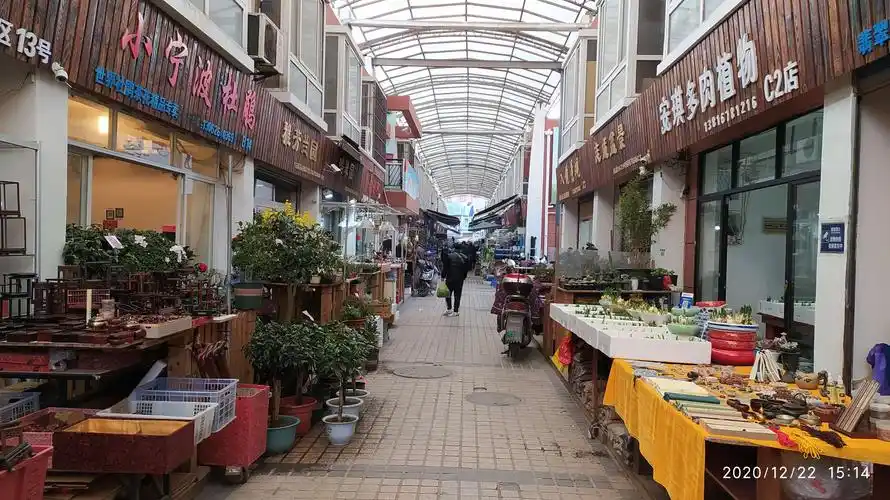 灵石路上的岚灵花鸟市场