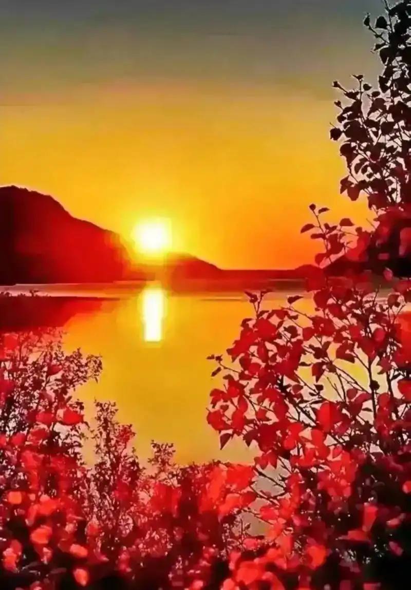 乡村美景:乡约黄昏后,几度夕阳红