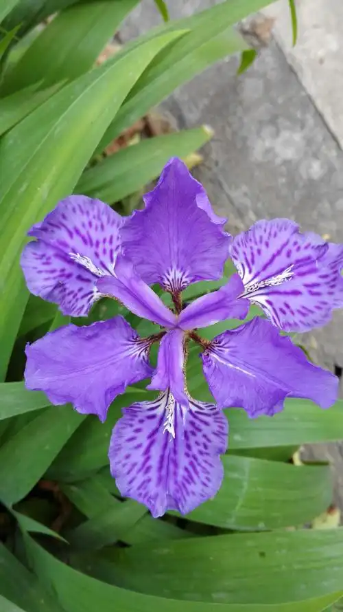 我的快乐,与你分享!板兰