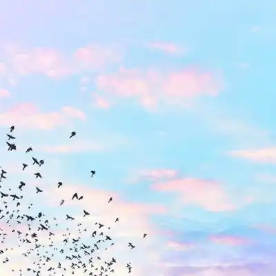 2020最美带好运的风景头像 微信最吉利的好看头像风景图