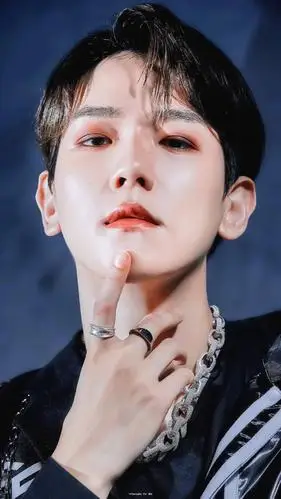 手机壁纸边伯贤