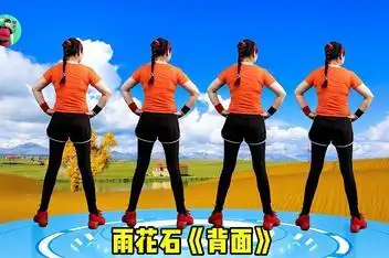 星云广场舞 雨花石(dl版健身操)_百度视频搜索