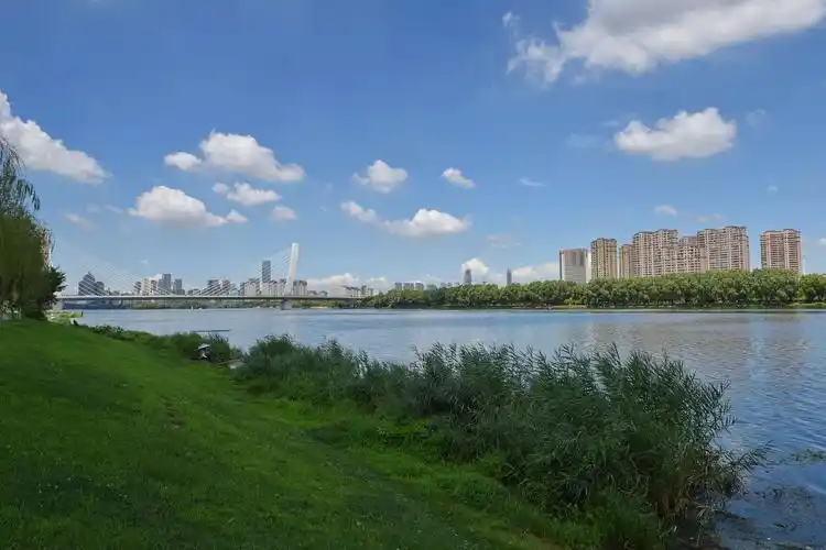 浑河岸边景色美(2020.08.06)