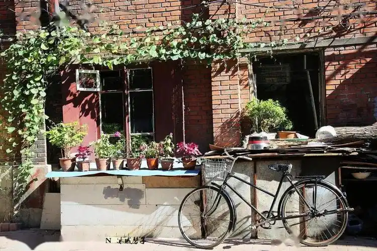 回望老道外的烟火气息百张照片讲述市井生活