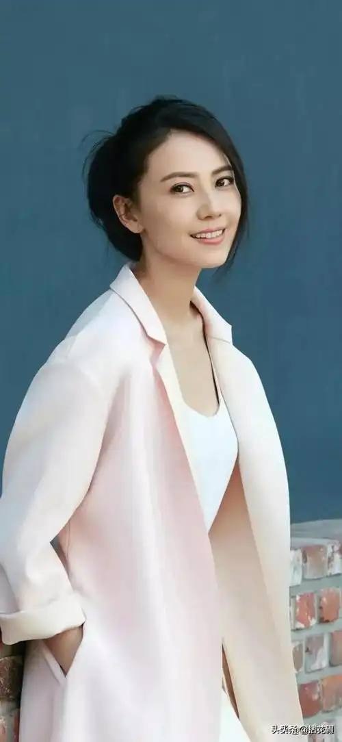 美女明星高圆圆高清壁纸写真尝矜绝代色复恃倾城姿