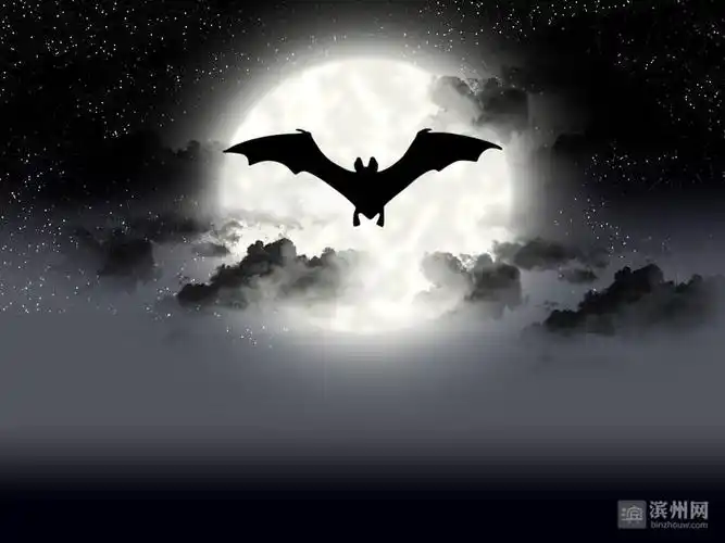 大平原(九十四)黑夜,为一只蝙蝠代言