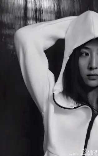 (图/adidas提供,翻摄自张钧甯微博)