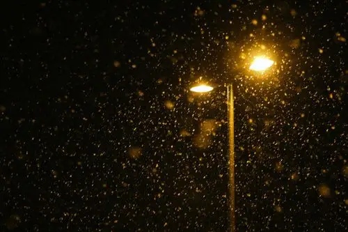 风雪黑夜路灯和孤寂