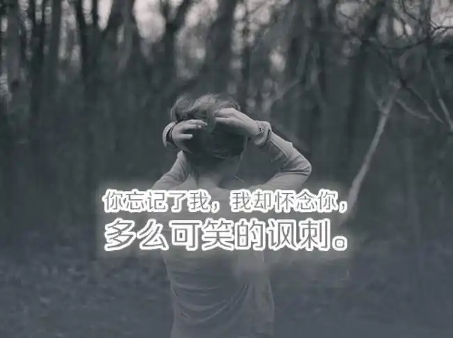 你如果认识从前的我也许会原谅现在的我