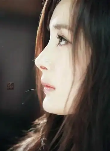 众女星侧脸照,最丑的是杨幂,最好看的排第六位