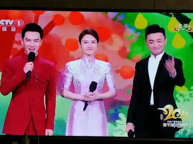 2021春晚主持人风采